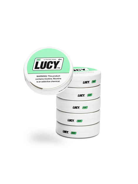 Lucy Pouches | Mint 4MG