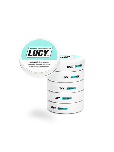 Lucy Pouches | Wintergreen 8MG