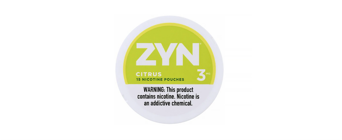 4 Best Nicotine Pouches for Beginners: Brands, Flavors & Reviews