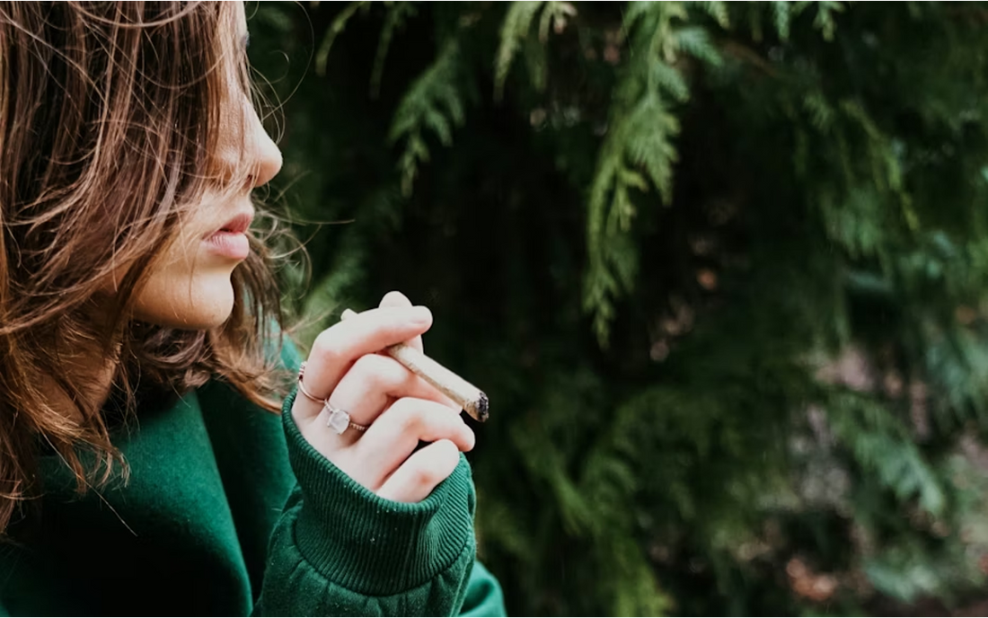 5 Best Alternatives to Menthol Cigarettes in 2026